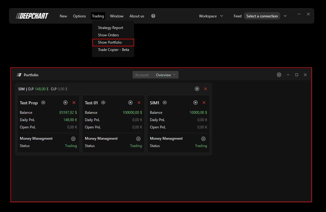 The Portfolio window's instant controls, every rule section and what happens when the lock falls, with the differences from the DeepDom Risk Manager.